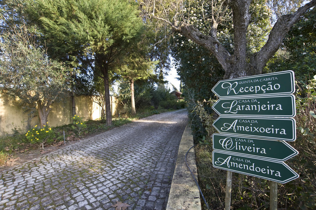 Quinta Da Cabrita Βίλα Santarém Εξωτερικό φωτογραφία