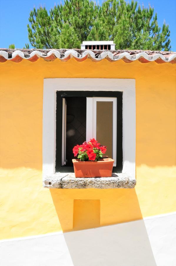 Quinta Da Cabrita Βίλα Santarém Εξωτερικό φωτογραφία